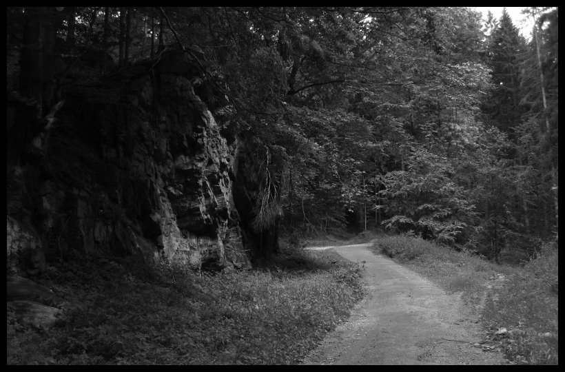 Šafářova skála v nejsevernější části Vidnavského výběžku