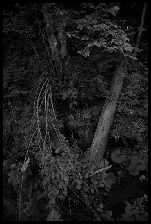 V údolí potoka Úplaz