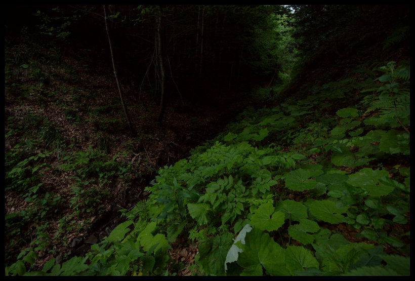 V údolí potoka Úplaz