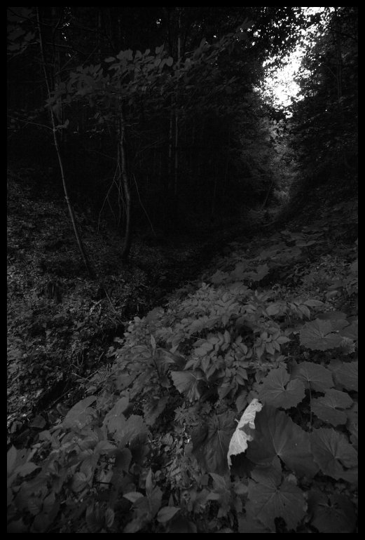 V údolí potoka Úplaz