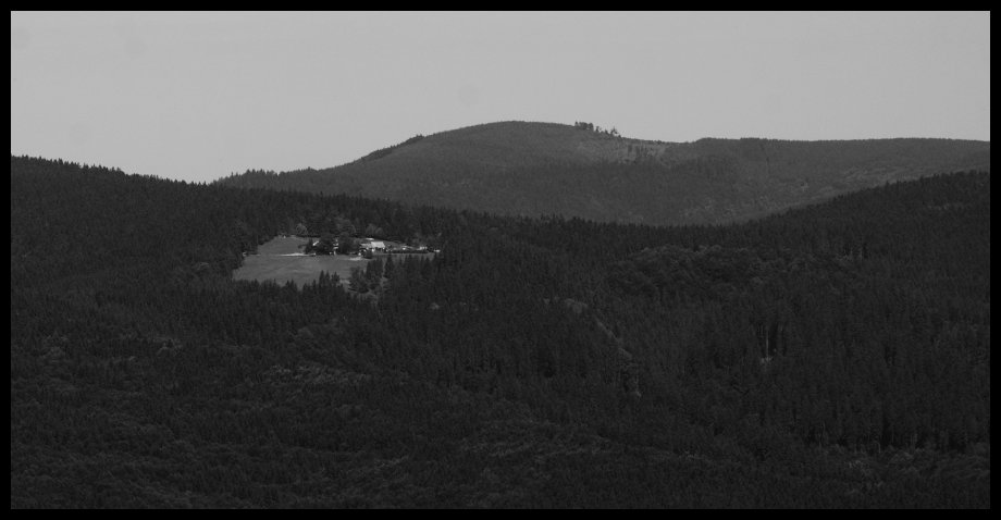 Slavíč z hraničního hřebene