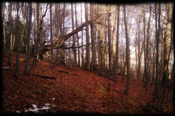 Přelez, přeskoč nebo podlez