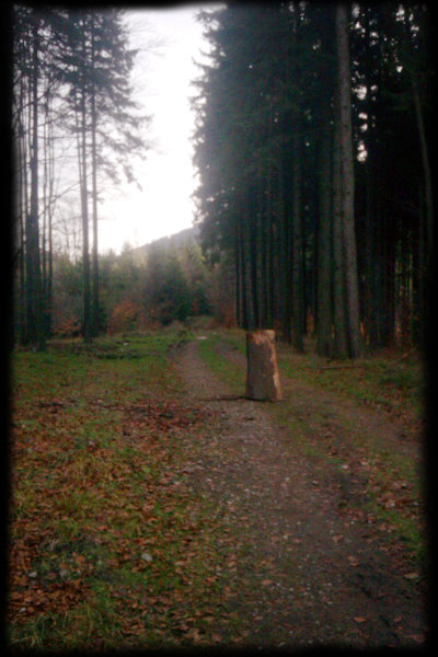 To není moje práce, néé, neé, to už tak bylo