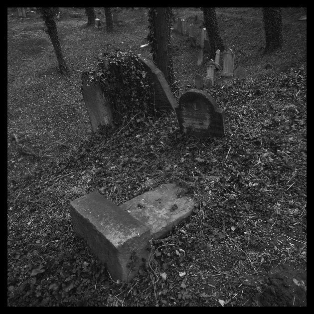 Cieszyn - židovský hřbitov