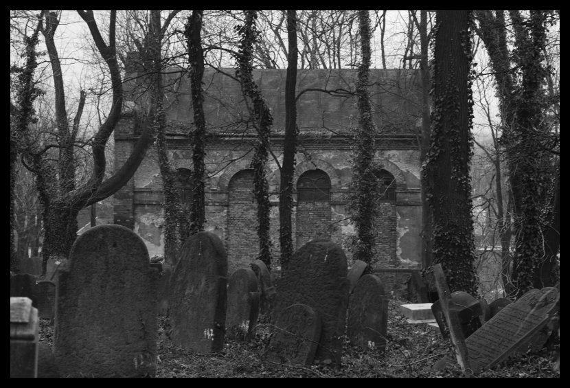 Cieszyn - židovský hřbitov