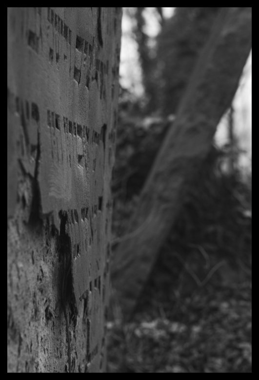 Cieszyn - židovský hřbitov