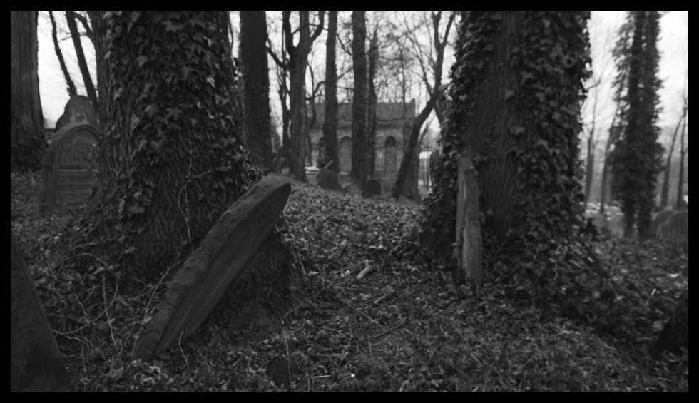 Cieszyn - židovský hřbitov