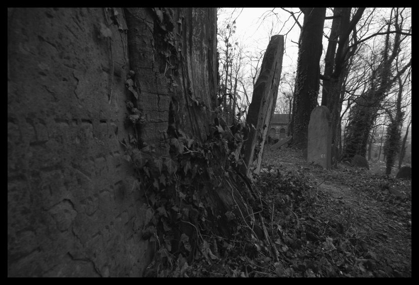 Cieszyn - židovský hřbitov