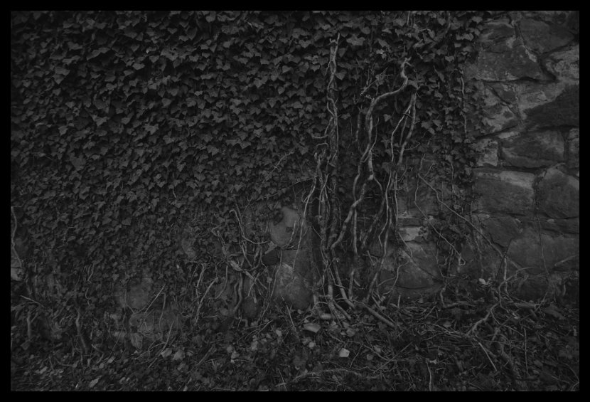 Cieszyn - židovský hřbitov