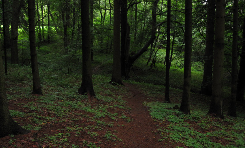 Pěkný úsek mezi Štikovem a Podmoklany