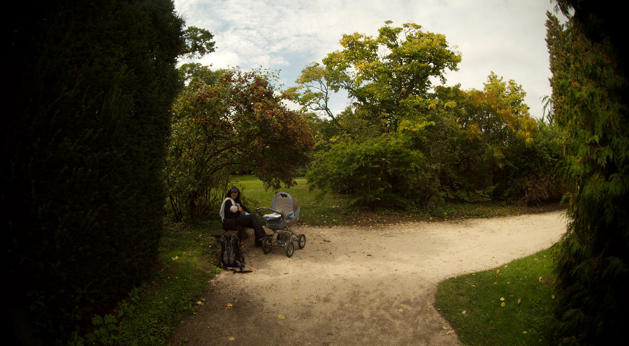 První kojení (pod jeřabinou)