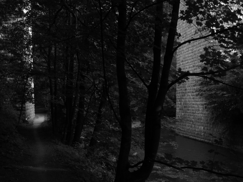 Z Dolních Louček do Předklášteří