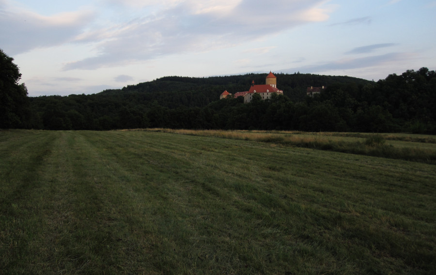 Veveří z Junácké louky