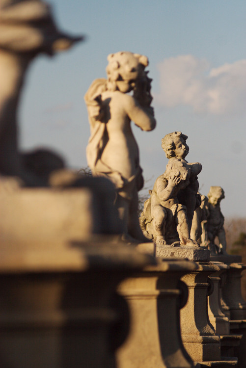 Smutek nebo bláznovství?