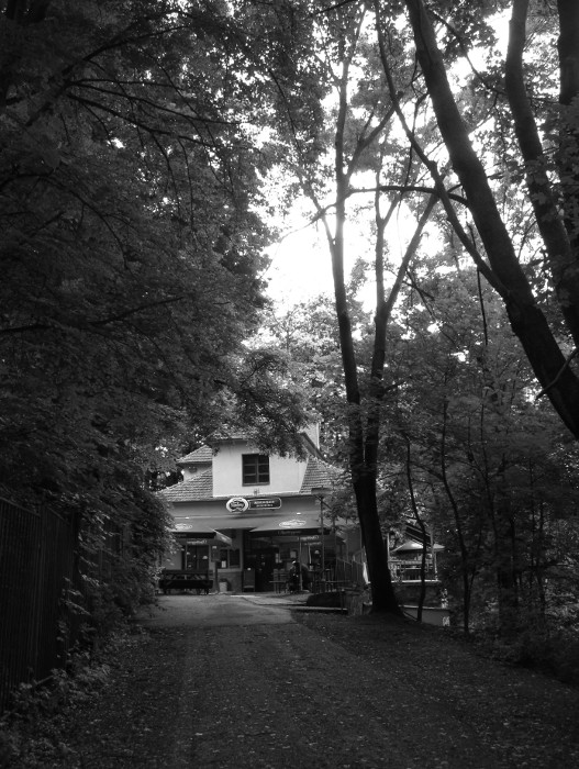 Rosničku máme rádi