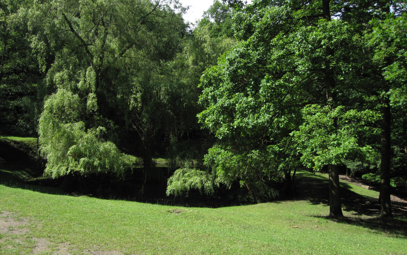 Jezírko v oboře pod Holednou