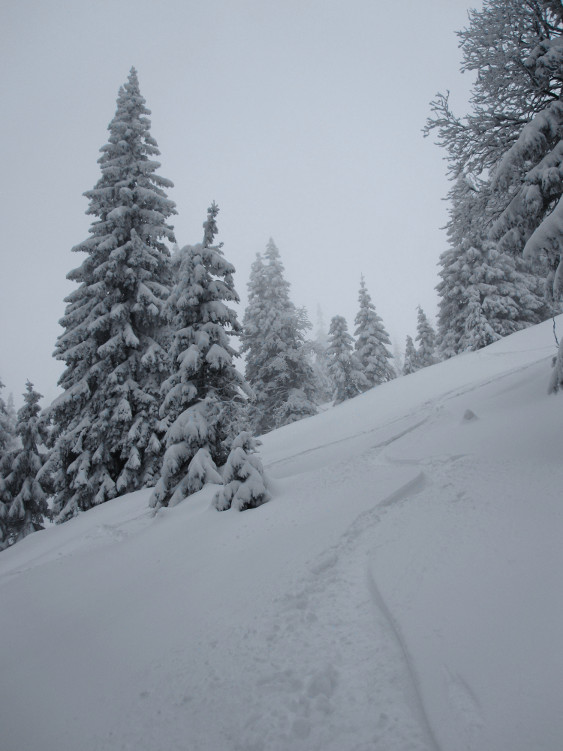 První sjezd do údolí Sokolího potoka