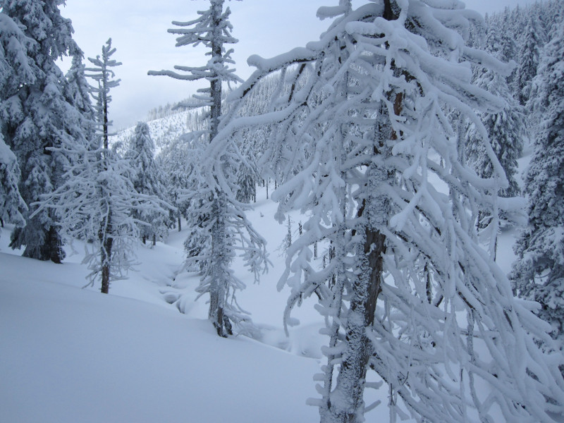 Ale chtěli jsme do Sviního dolu, takže čelem vzad a nahoru