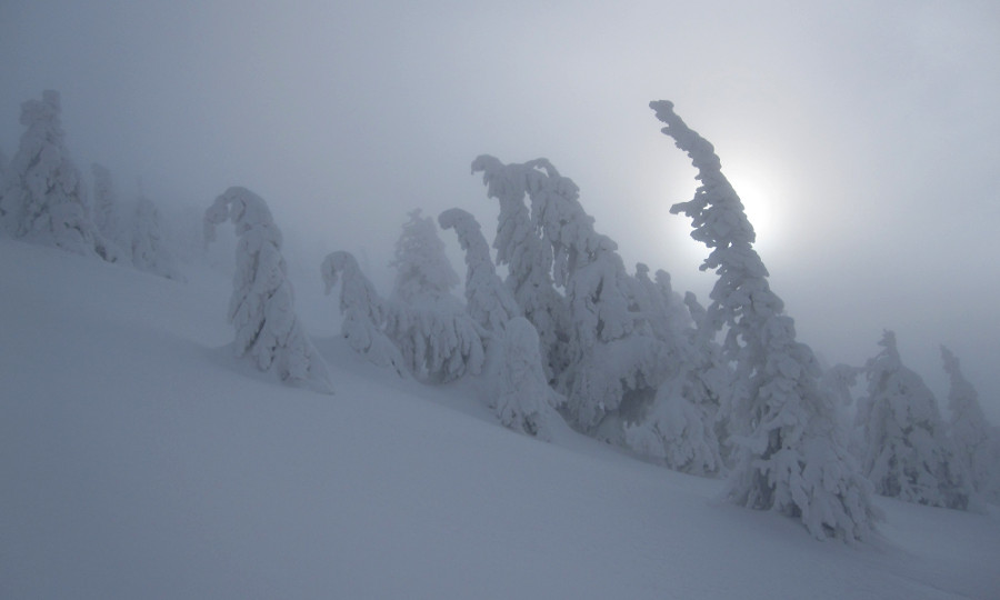 Na hraně Sviního dolu