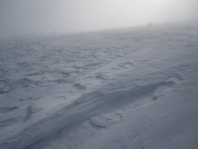 Jak z dobývání pólu