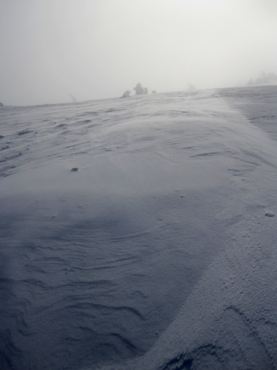 Blíží se babička s kloučkem a se psem