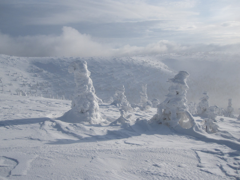 Poprvé dnes vidíme hlavní hřeben