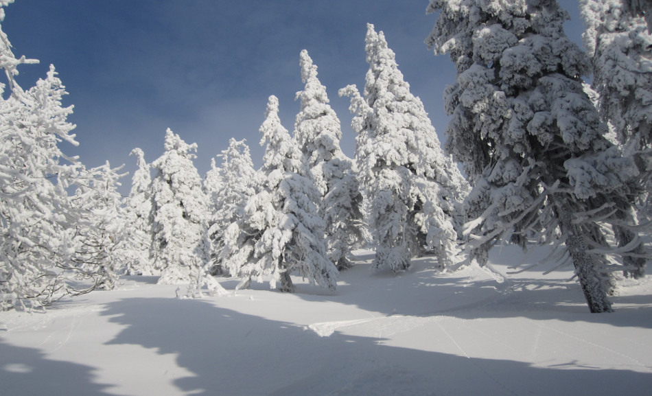 Sjezd do Medvědího dolu s modrým nebem nad hlavou