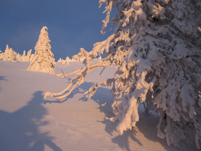 Večerní překvapení
