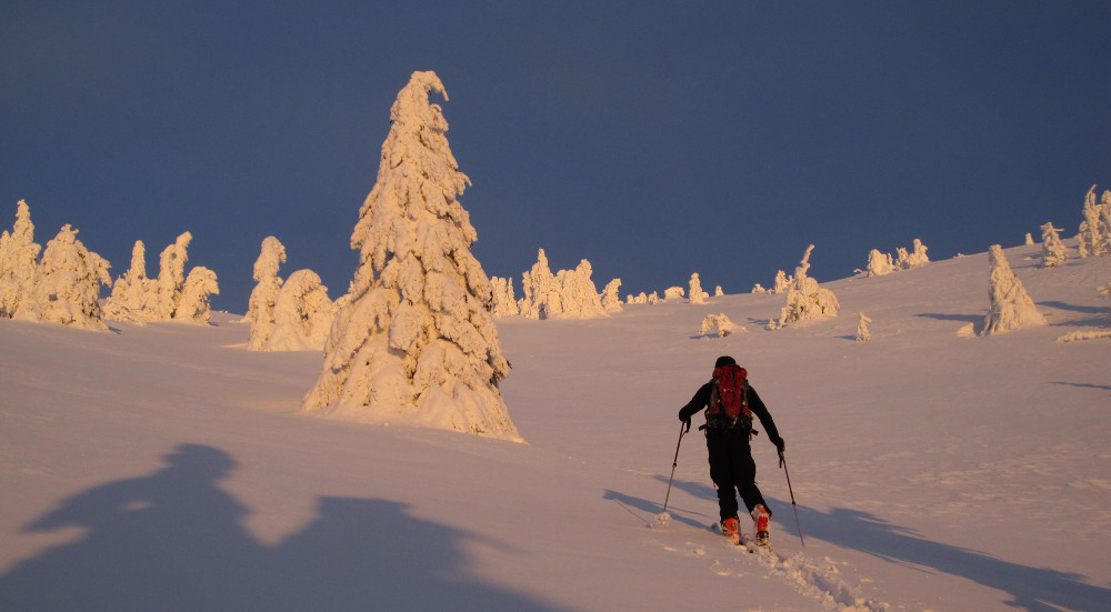 Popojdeme deset metrů