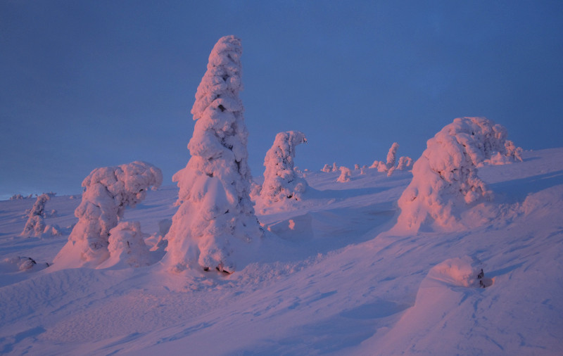 Příšery se zase daly do pohybu