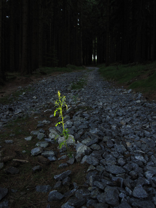 Poslední paprsky pod místem zvaným "U Žida"