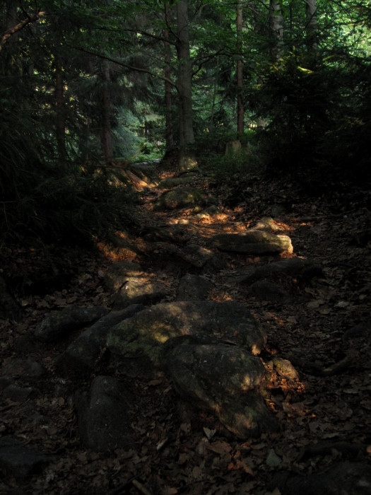 Poslední úsek vyžaduje zvýšenou pozornost, zvláště když běžím za mokra