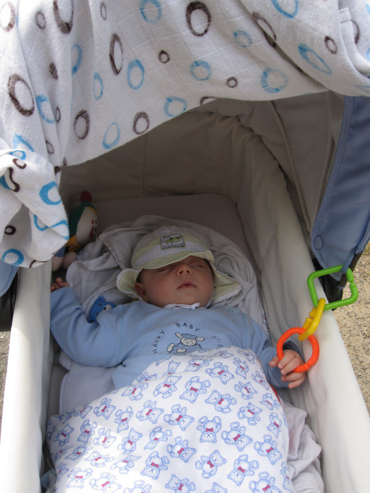 Takhle spal Mates na procházce kolem Čtyřech palic