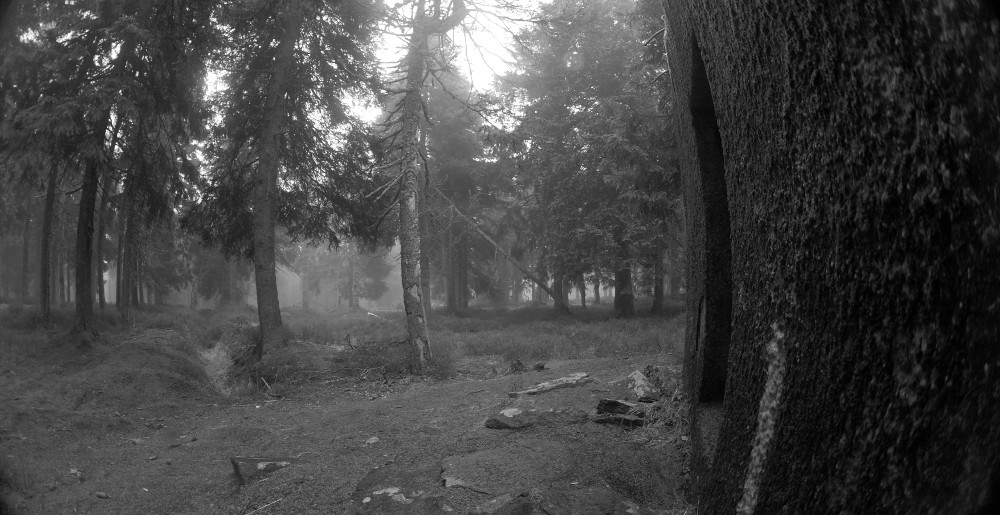 Linie mezi Sušinou a Podbělkou