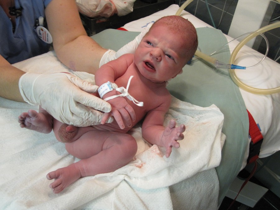 První pohledy na svět