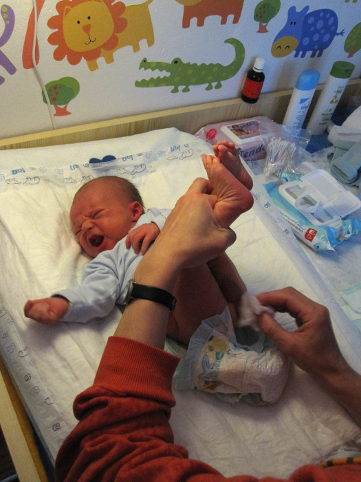 I pořádně zakřičet už zvládneme