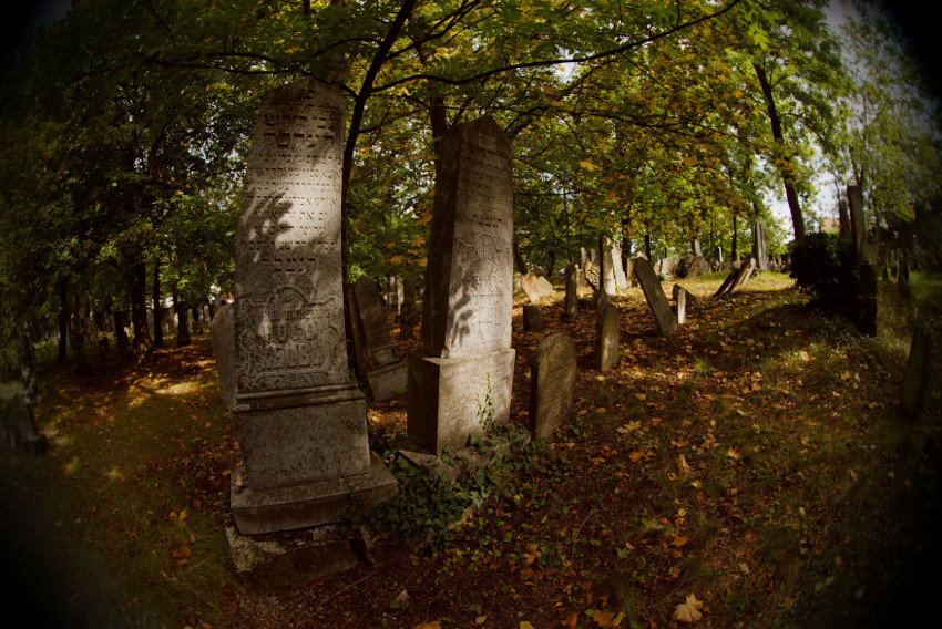 Židovský hřbitov
