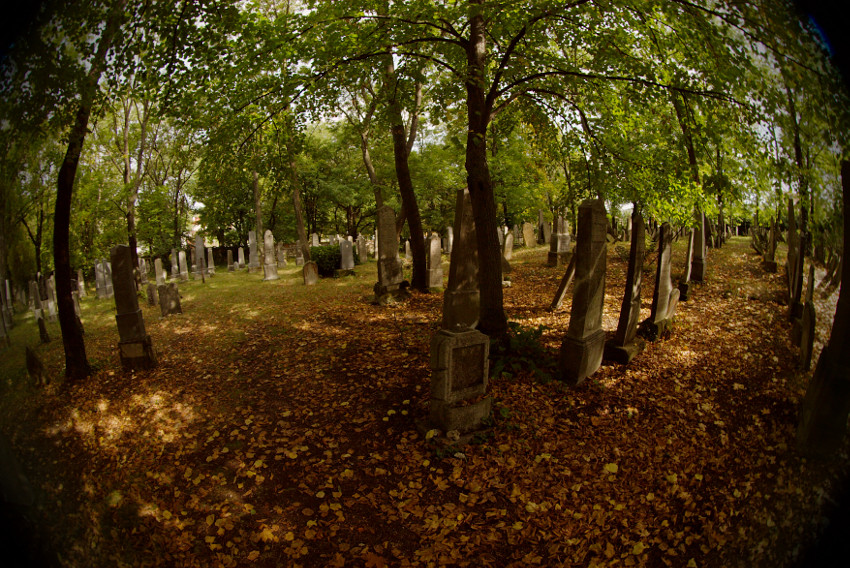 Židovský hřbitov