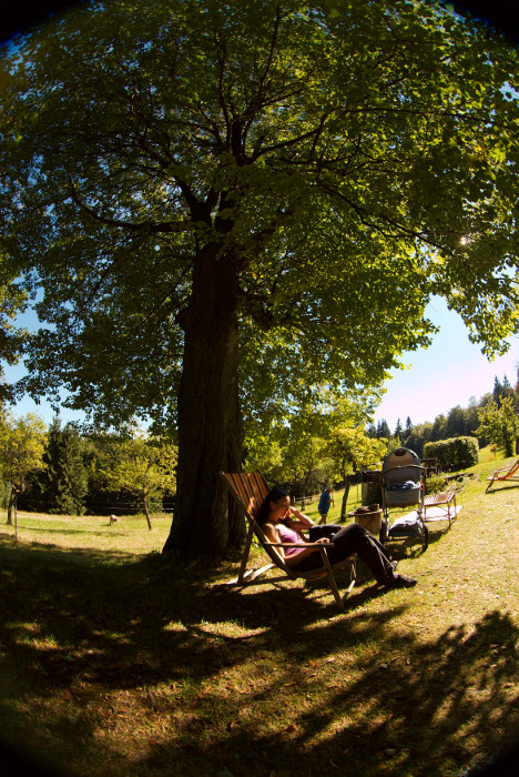 Na Ostrém pod lípou. Vzadu vlevo na louce mamka, za maky taťka