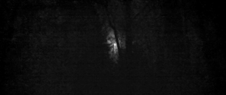 Temnými hvozdy Beskydskými