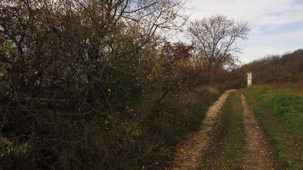 Vyrážíme směrem k Děvínu