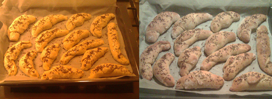 Pekl jsem rohlíky. To ale byla matlanice.