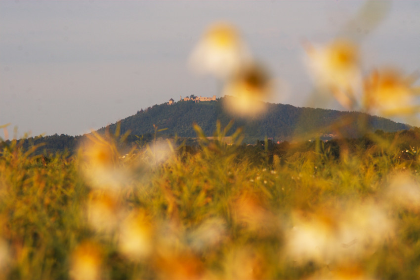 V dálce Starý Jíčín