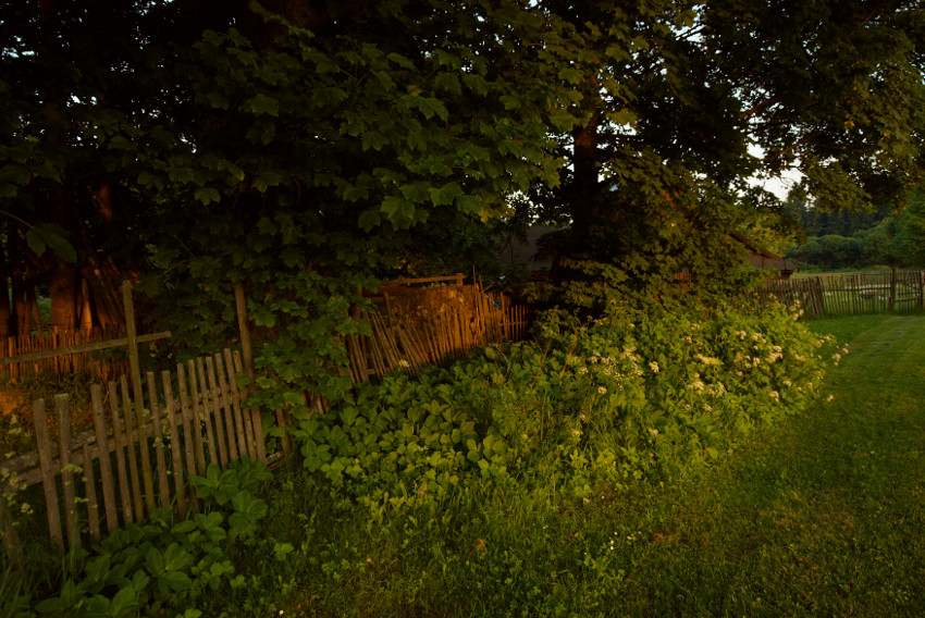 Večerní procházka na Zadní hůru