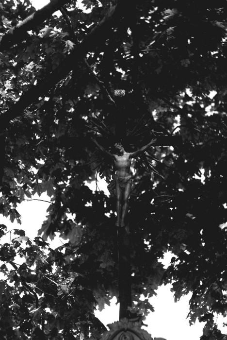 Cestou do Chlumětína