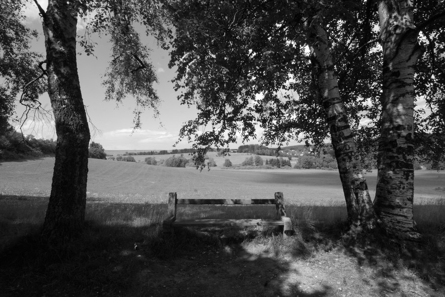 Výhled na louky a Svratouch