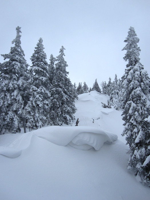 Hřeben nad Sviním žlebem