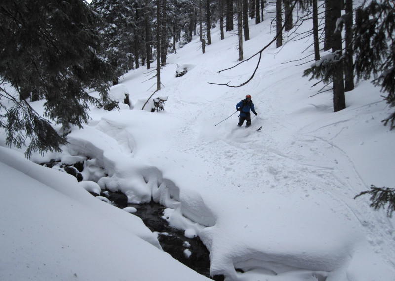 Synek dole ve Sviním