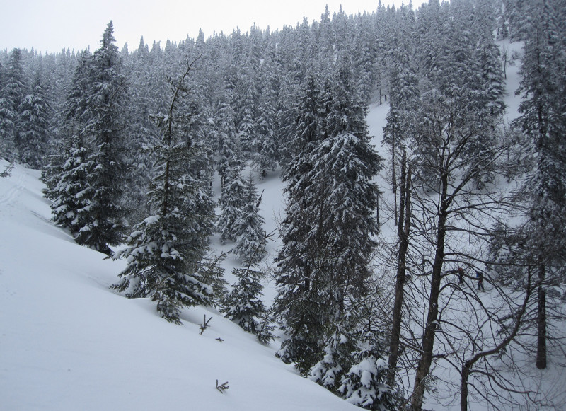 Z loučky ve Sviním