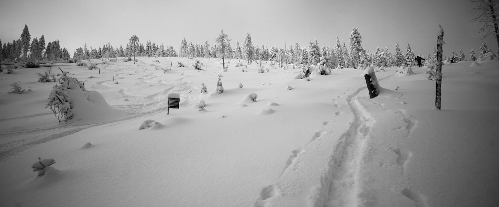 Jako každý rok - Špek běží nahoru a já mu z dálky dejchám na paty